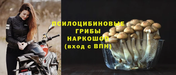 хмурый Алзамай