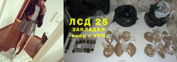 гашик Алексин