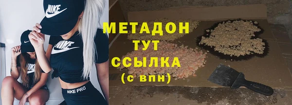 гашик Алексин