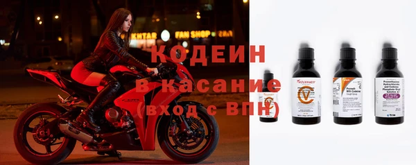 гашик Алексин