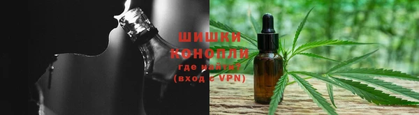 хмурый Алзамай