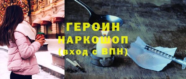 гашик Алексин