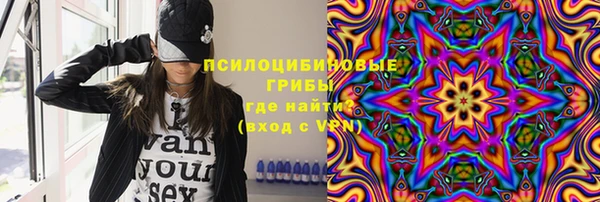 хмурый Алзамай