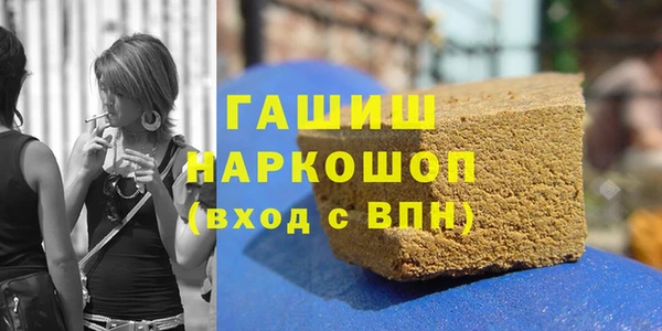 гашик Алексин