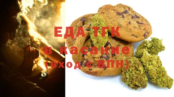 гашик Алексин