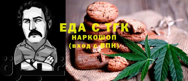 гашик Алексин