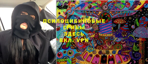 хмурый Алзамай