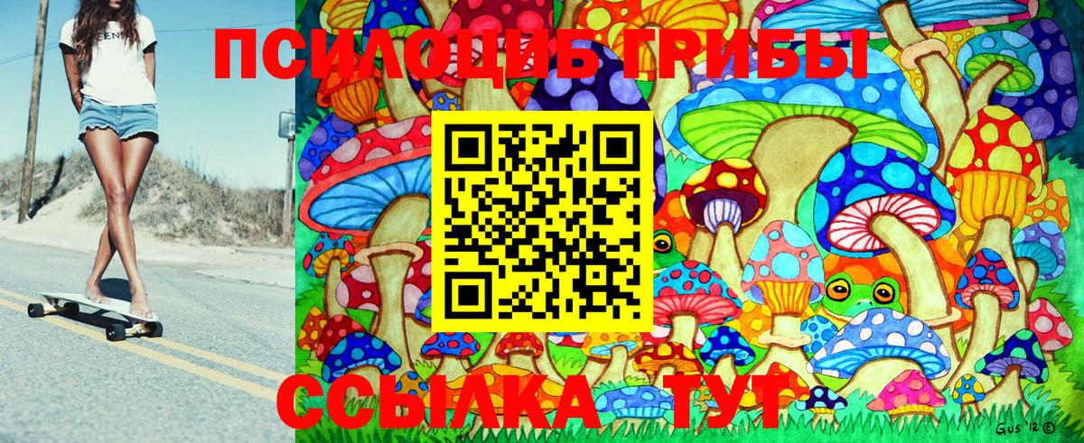 Тольятти  Псилоцибиновые грибы прущие грибы  Галлюциногенные грибы MAGIC MUSHROOMS  Вход с VPN 